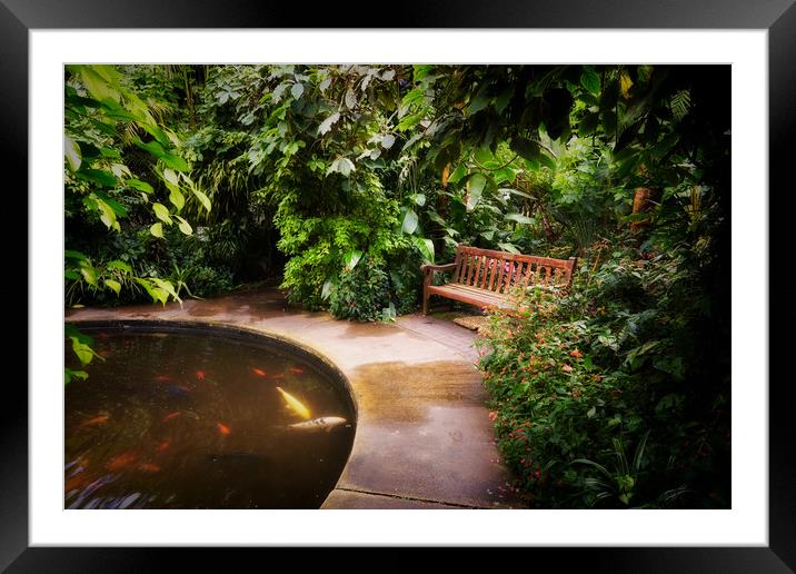 Eden, with bench Framed Mounted Print by Richard Downs