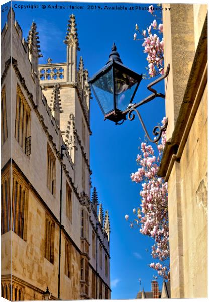 Catte Street, Oxford, Oxfordshire, UK Canvas Print by Andrew Harker