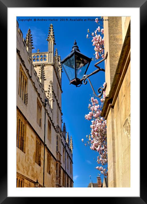 Catte Street, Oxford, Oxfordshire, UK Framed Mounted Print by Andrew Harker