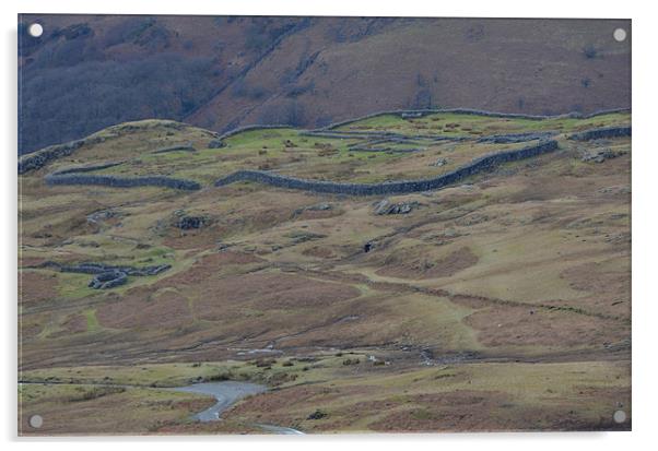 Hard Knott Roman Fort Acrylic by Paul Leviston