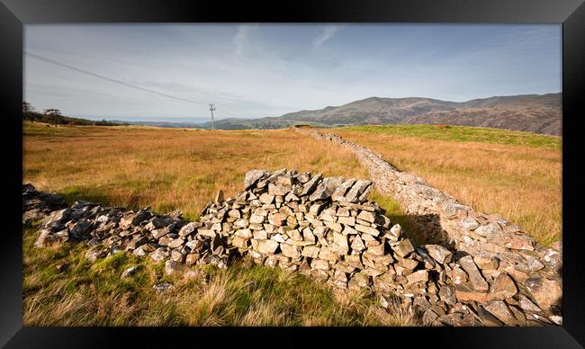 old drystone wall Framed Print by Simon Wrigglesworth