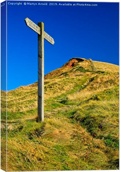 Stairway to Heaven Canvas Print by Martyn Arnold