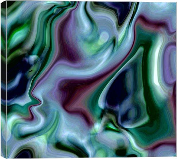 swirling silk Canvas Print by Heather Newton