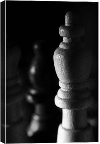 Chess Piece Canvas Print by Pam Martin