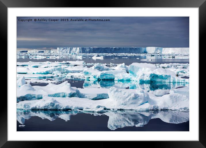 Tabular Ice. Framed Mounted Print by Ashley Cooper