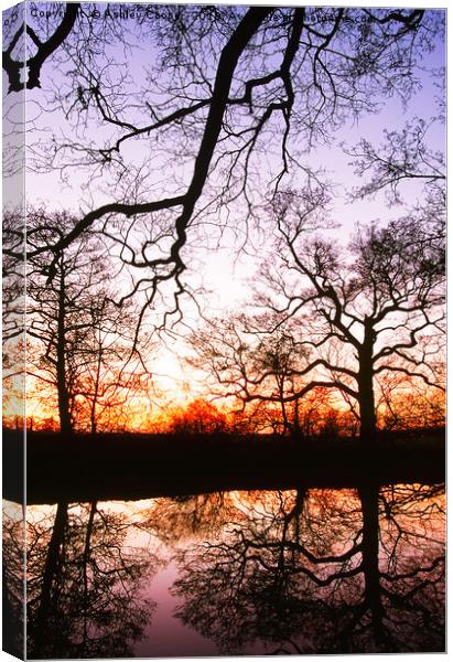 Pond reflections. Canvas Print by Ashley Cooper