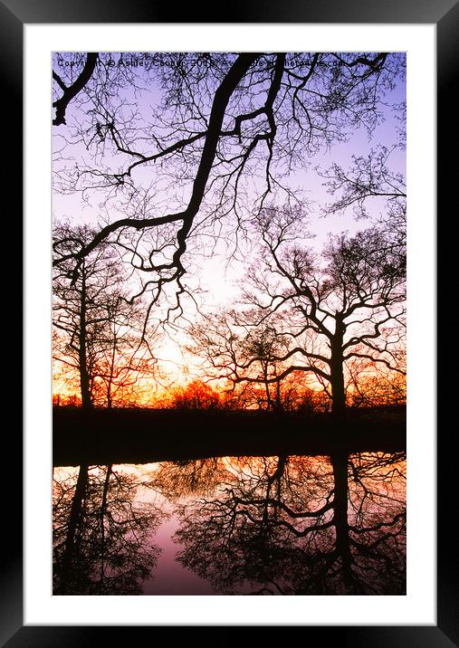 Pond reflections. Framed Mounted Print by Ashley Cooper