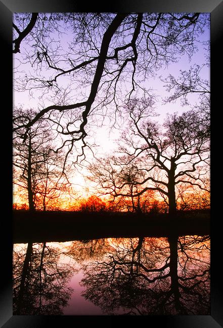 Pond reflections. Framed Print by Ashley Cooper