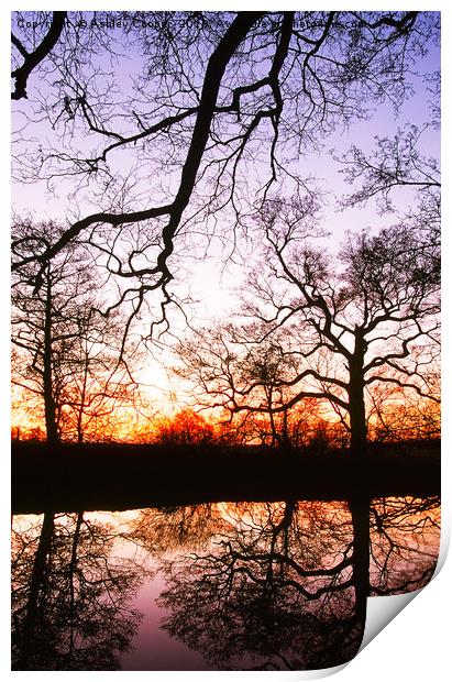 Pond reflections. Print by Ashley Cooper