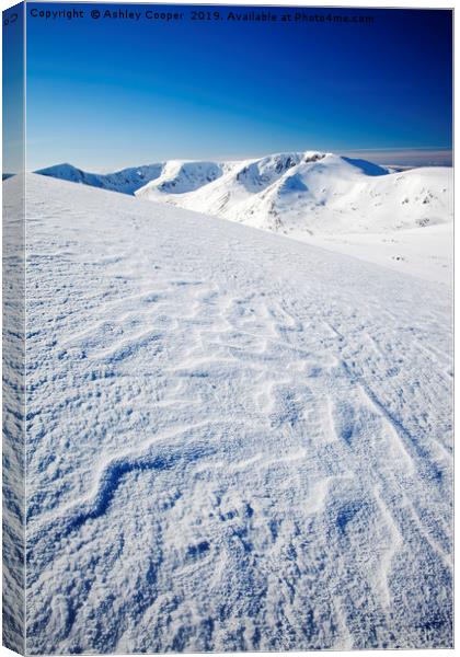 Cairngorm winter. Canvas Print by Ashley Cooper