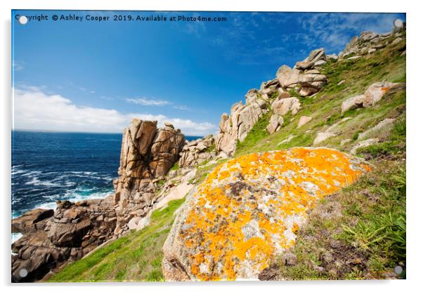 Cornish lichen. Acrylic by Ashley Cooper