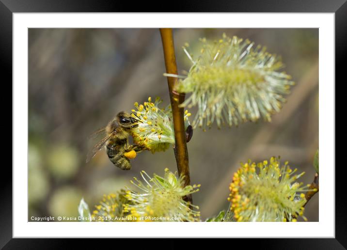Honey Bee Hard at Work Framed Mounted Print by Kasia Design