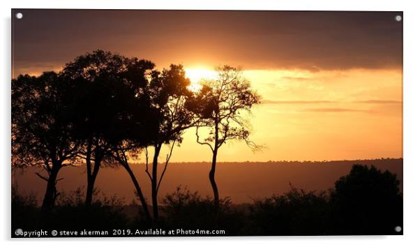     Sunset in the Masai Mara in June.              Acrylic by steve akerman