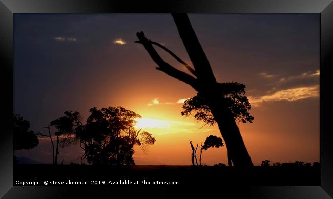    Masai Mara sunset.                              Framed Print by steve akerman
