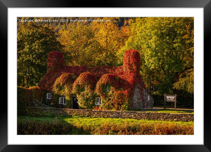 Llanrwst Tea Room Autumn Framed Mounted Print by Adrian Evans