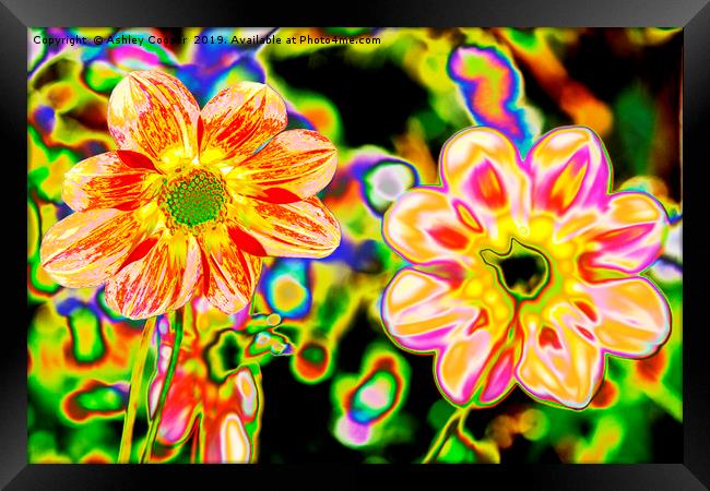 Floral art. Framed Print by Ashley Cooper