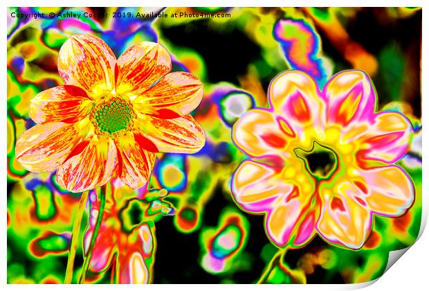 Floral art. Print by Ashley Cooper