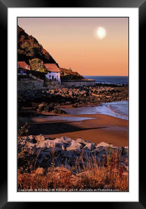 "Moon over the Bay" Framed Mounted Print by ROS RIDLEY
