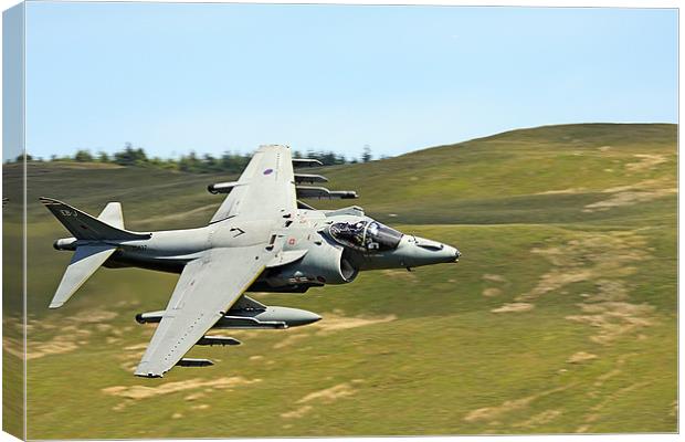 BAE Systems Harrier GR9 Jump Jet ZD437 Canvas Print by Oxon Images