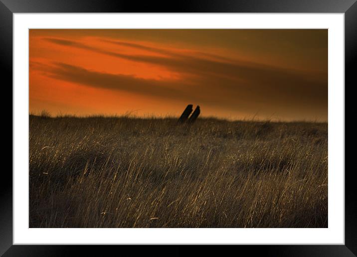 wood,grass and sky Framed Mounted Print by pauline morris