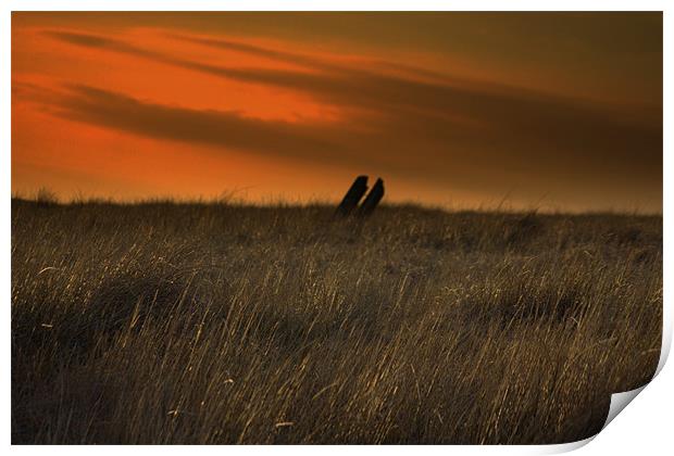 wood,grass and sky Print by pauline morris