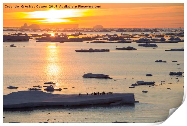 Iceberg sunset. Print by Ashley Cooper