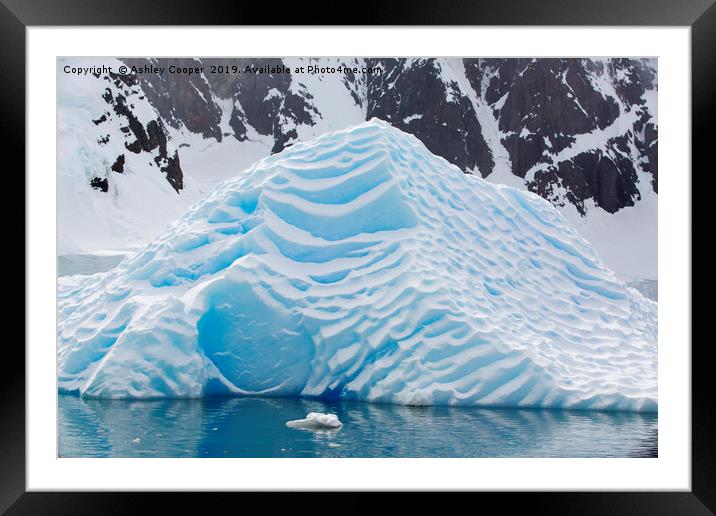 Blue ice sculpture. Framed Mounted Print by Ashley Cooper