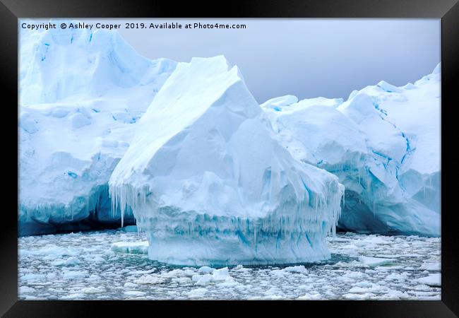 Icicles Framed Print by Ashley Cooper