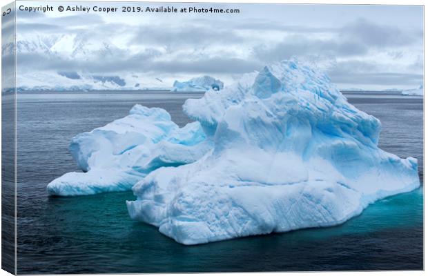 Antarctic blue berg. Canvas Print by Ashley Cooper