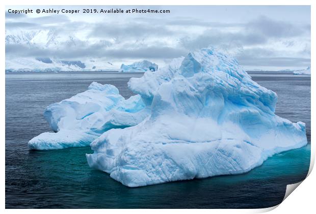 Antarctic blue berg. Print by Ashley Cooper