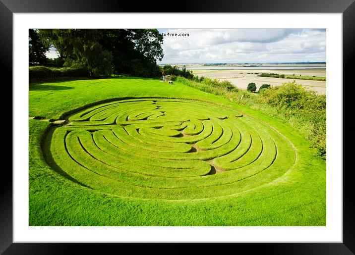 Green maze Framed Mounted Print by Ashley Cooper