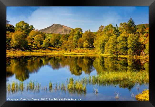 Forest Lake Snowdonia Wales Framed Print by Adrian Evans