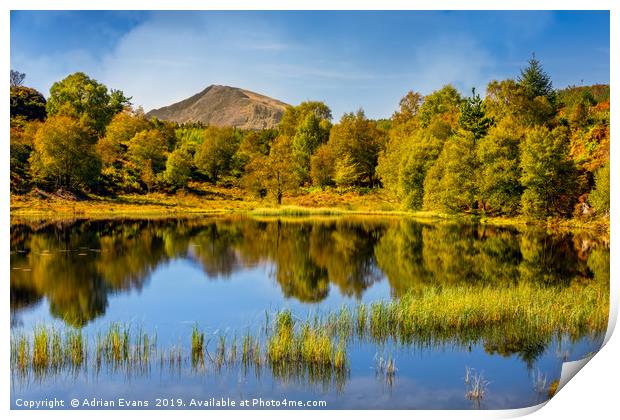 Forest Lake Snowdonia Wales Print by Adrian Evans