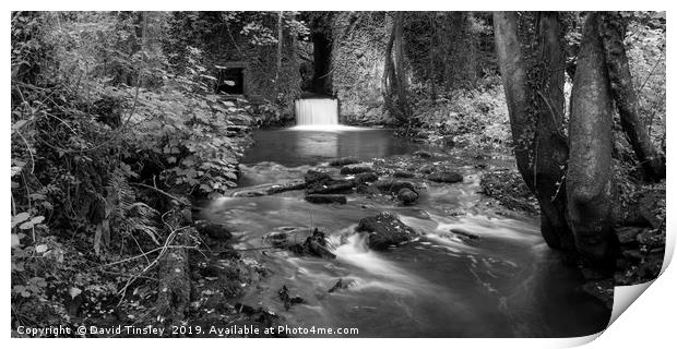 Lower Forge in Monochrome Print by David Tinsley