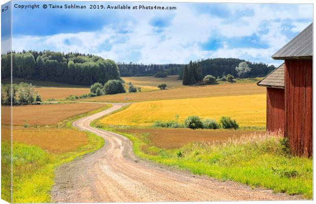 Country Road Through Fields in Late Summer Canvas Print by Taina Sohlman