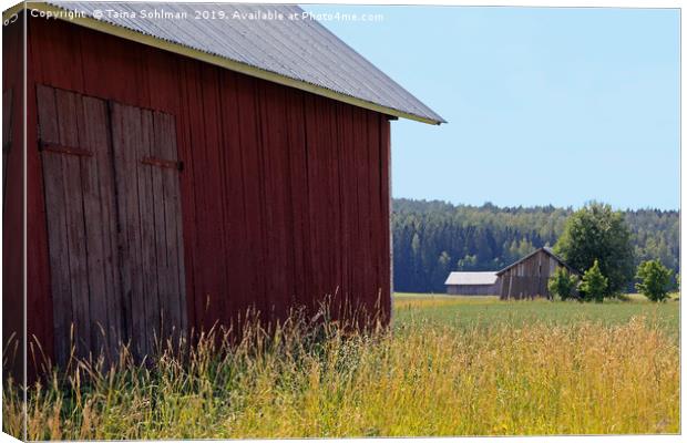 Rural Landscape with Three Barns Canvas Print by Taina Sohlman