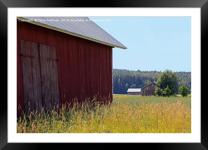 Rural Landscape with Three Barns Framed Mounted Print by Taina Sohlman
