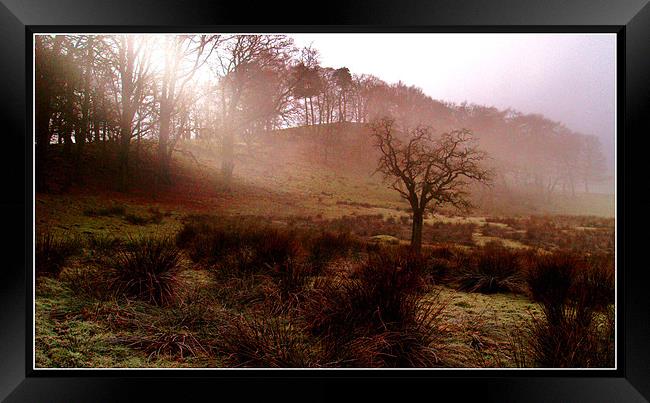 A misty morning Framed Print by Craig Coleran