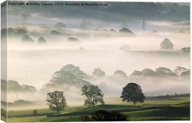 Misty morn. Canvas Print by Ashley Cooper