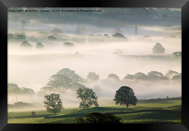 Misty morn. Framed Print by Ashley Cooper