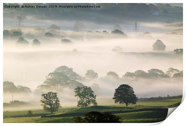 Misty morn. Print by Ashley Cooper