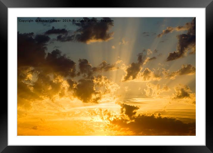 Golden rays. Framed Mounted Print by Ashley Cooper