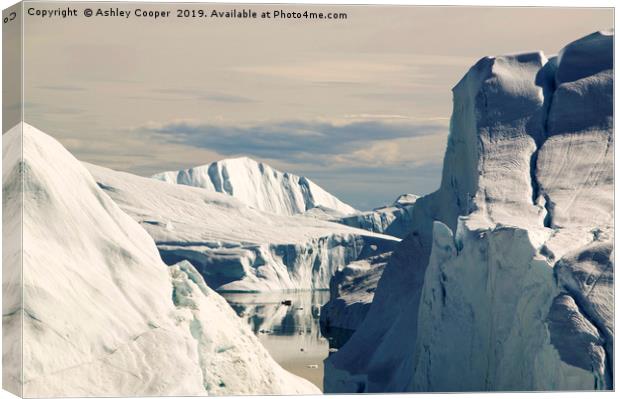 Illulisat icebergs. Canvas Print by Ashley Cooper