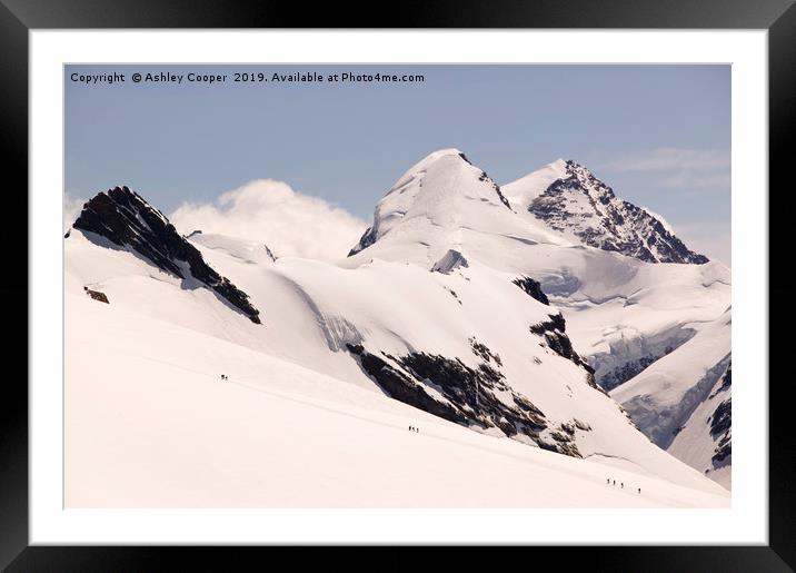 Breithorn climbers. Framed Mounted Print by Ashley Cooper