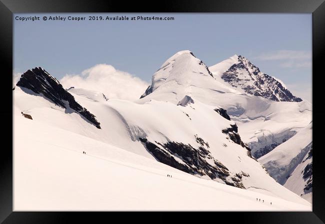Breithorn climbers. Framed Print by Ashley Cooper