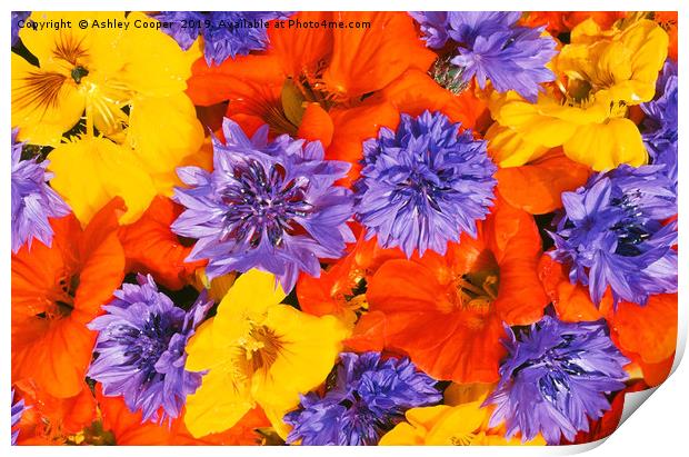 Summer flowers Print by Ashley Cooper