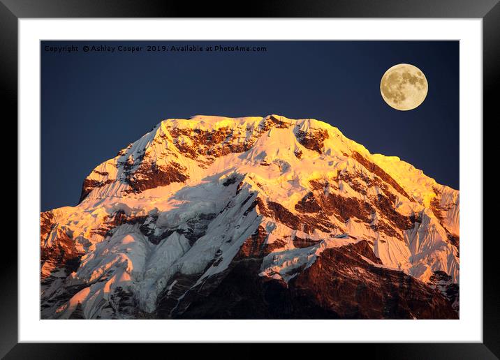 Annapurna moon. Framed Mounted Print by Ashley Cooper