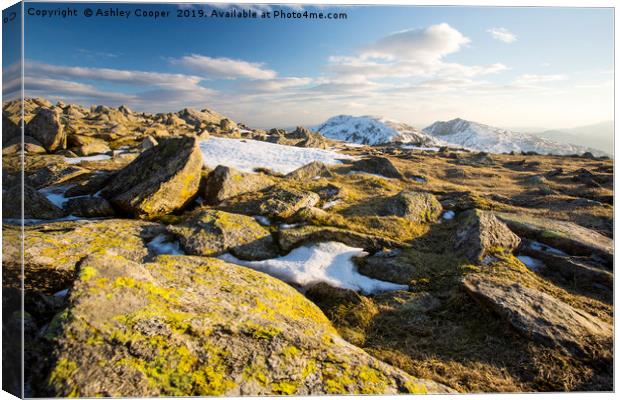 Coniston old Man Canvas Print by Ashley Cooper