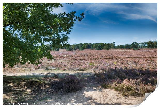 heather fields in september in the national park t Print by Chris Willemsen