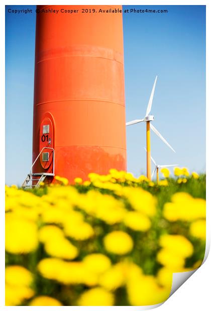 Wind power. Print by Ashley Cooper